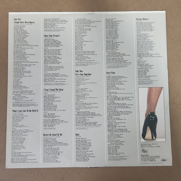 Tina Turner 1984 Private Dancer Album - Picture 10 of 14